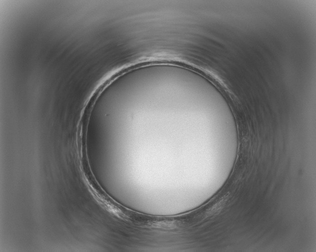 X0000056001126200508190814