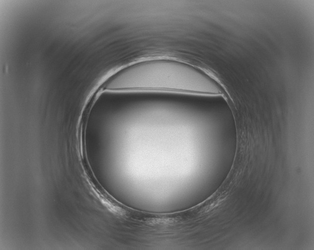 X0000056001127200508190814