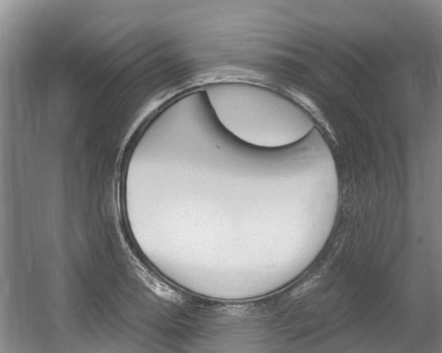 X0000056001130200508190814