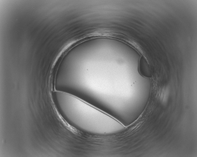 X0000056001131200508190814