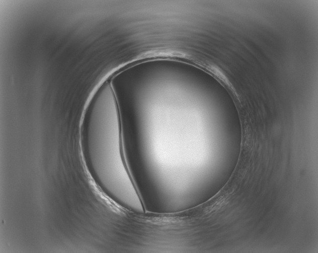 X0000056001132200508190814