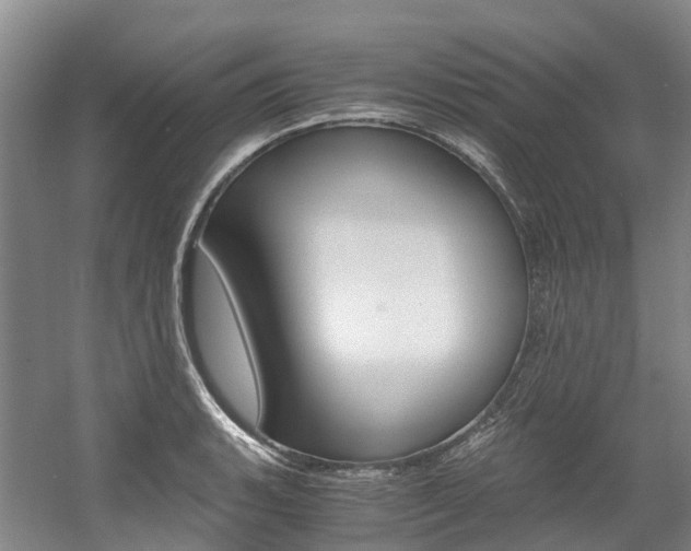 X0000056001135200508190814