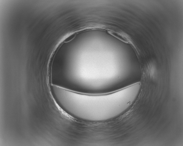 X0000056001143200508190815