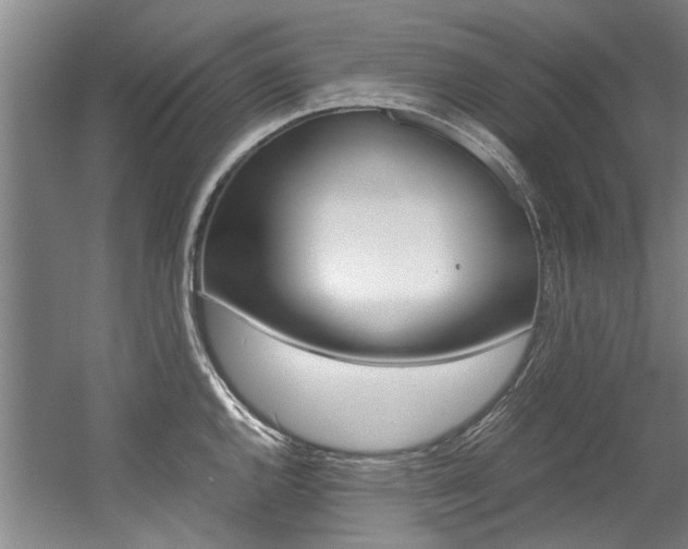 X0000056001144200508190815