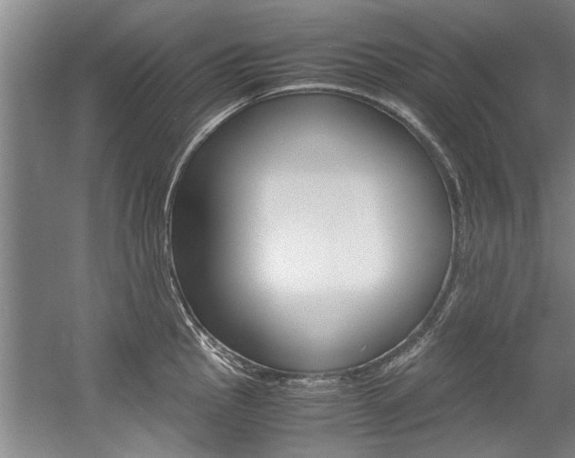 X0000056001145200508190815
