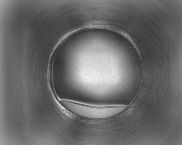 X0000056001147200508190815