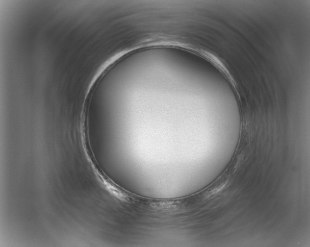 X0000056001149200508190815
