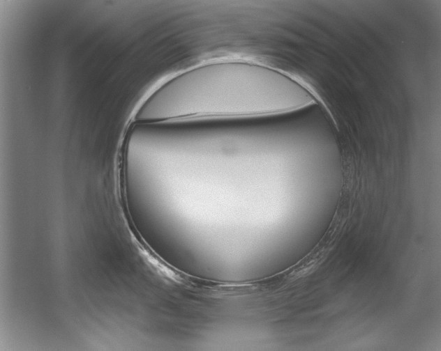 X0000056001151200508190815