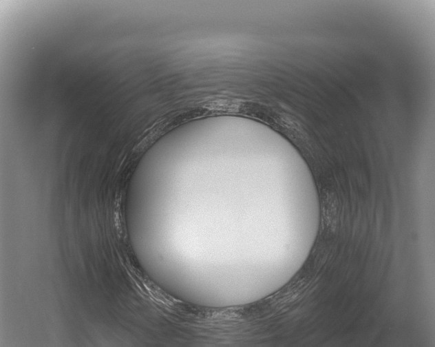 X0000056001154200508190814