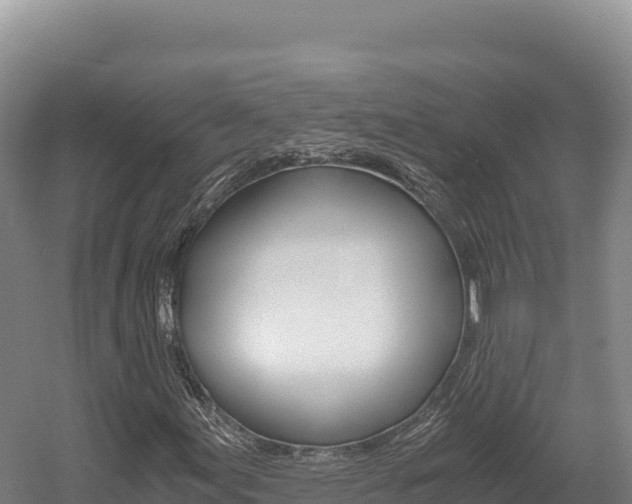 X0000056001155200508190814