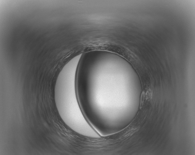 X0000056001156200508190814