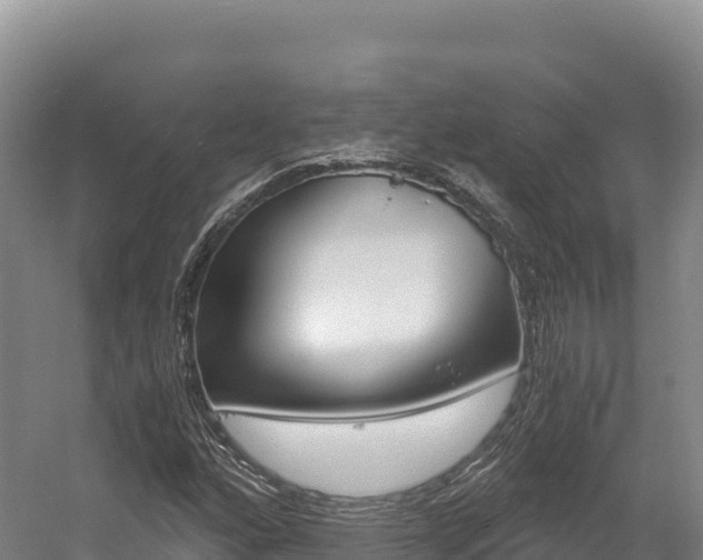 X0000056001160200508190814