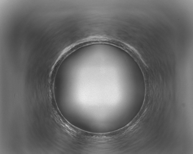 X0000056001168200508190814