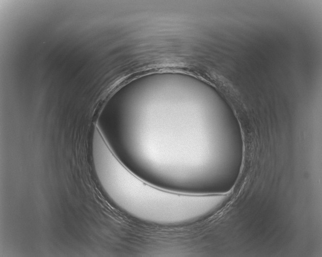 X0000056001169200508190814
