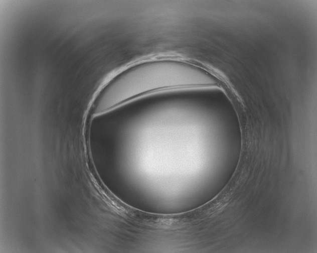 X0000056001176200508190814