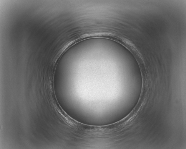 X0000056001177200508190813