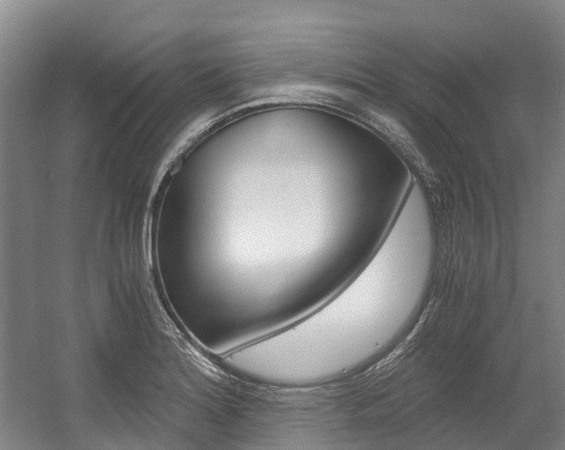 X0000056001180200508190813