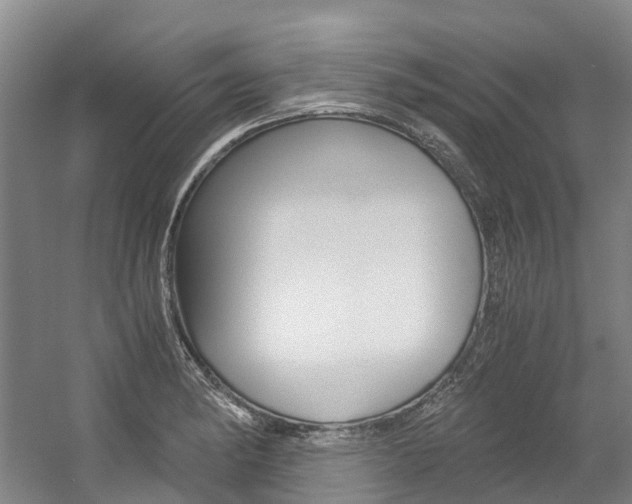 X0000056001182200508190813