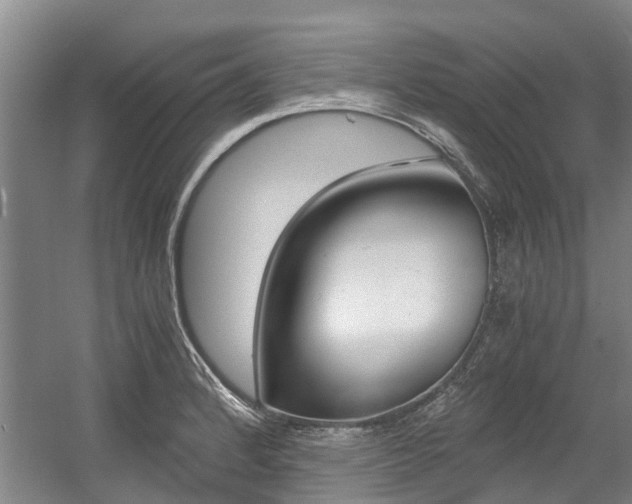 X0000056001184200508190813