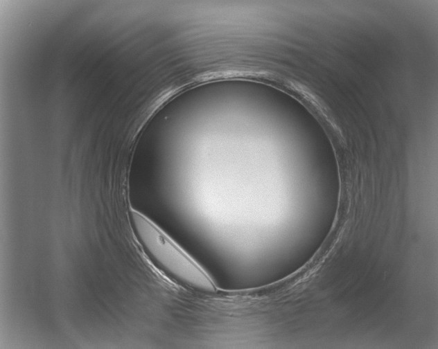 X0000056001185200508190813