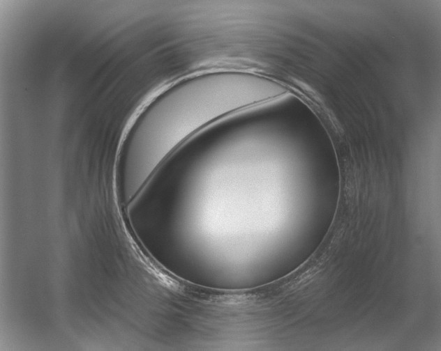 X0000056001188200508190813