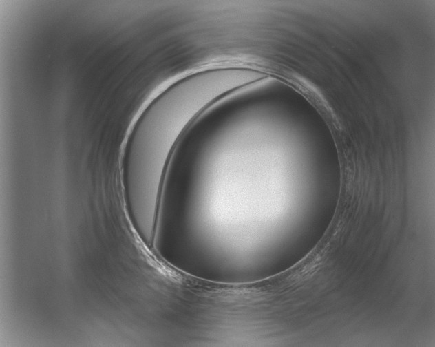 X0000056001192200508190813