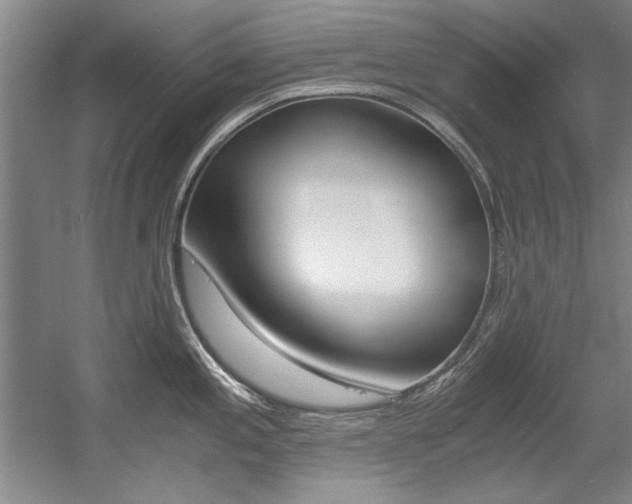 X0000056001197200508190813
