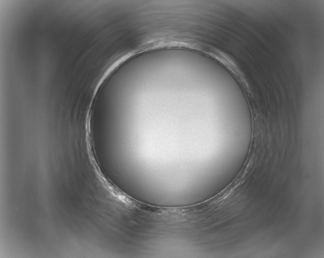 X0000056001198200508190813