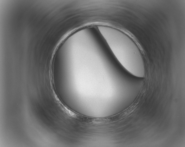 X0000056001199200508190813