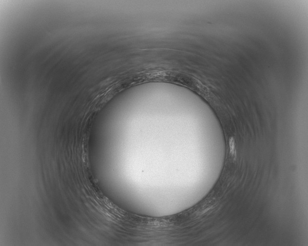 X0000056001203200508190812