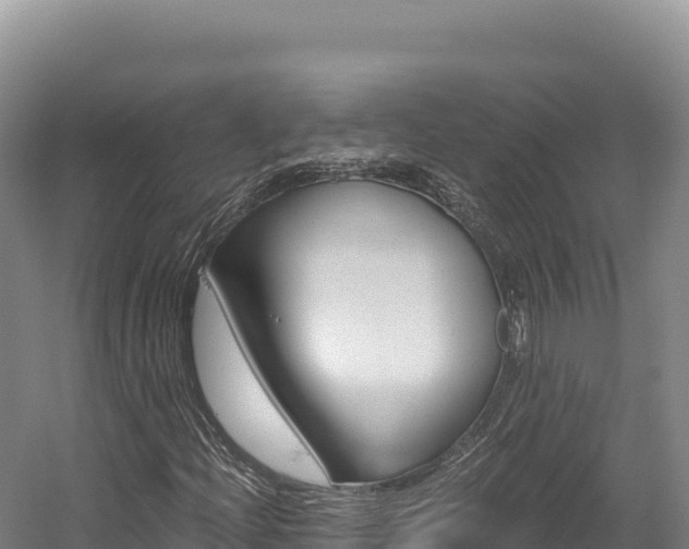 X0000056001204200508190812