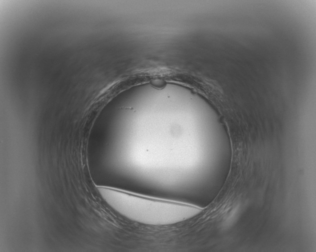 X0000056001205200508190812