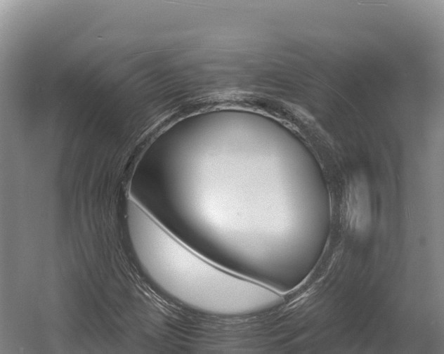 X0000056001209200508190812