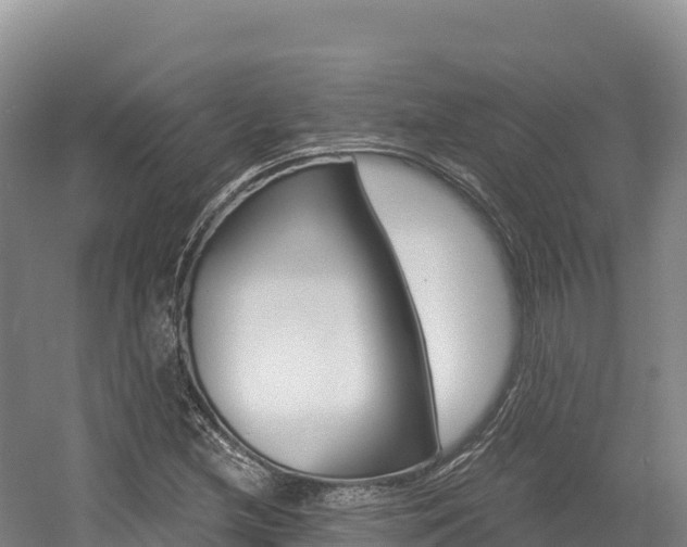 X0000056001212200508190812