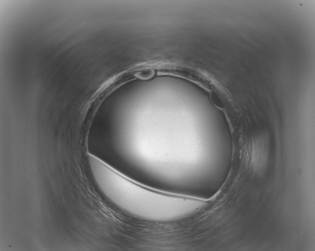 X0000056001213200508190812