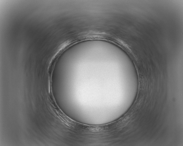 X0000056001219200508190813