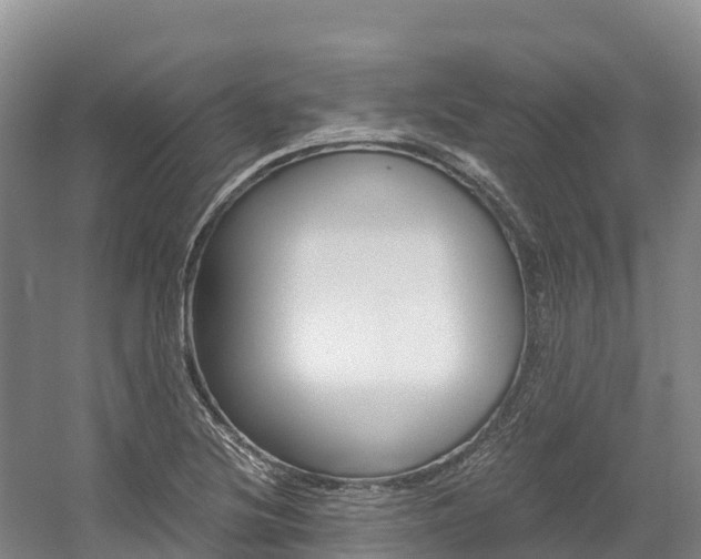X0000056001220200508190813