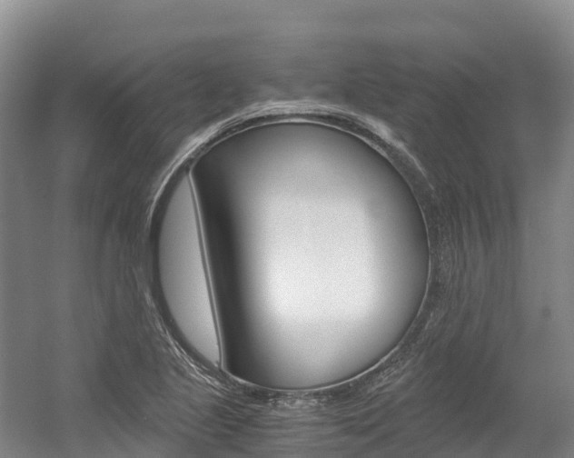 X0000056001221200508190813