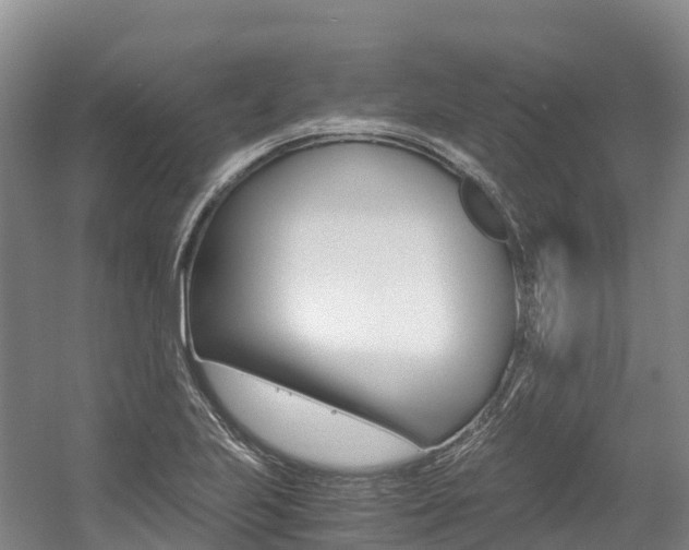 X0000056001223200508190813