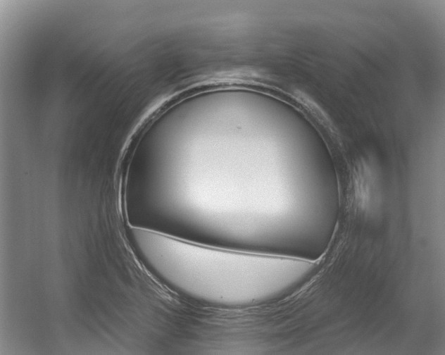 X0000056001224200508190813