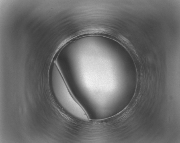 X0000056001226200508190813