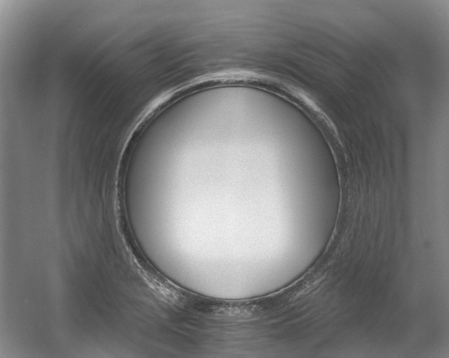 X0000056001229200508190813