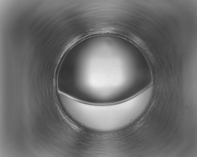 X0000056001234200508190813