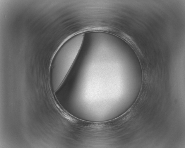 X0000056001236200508190813