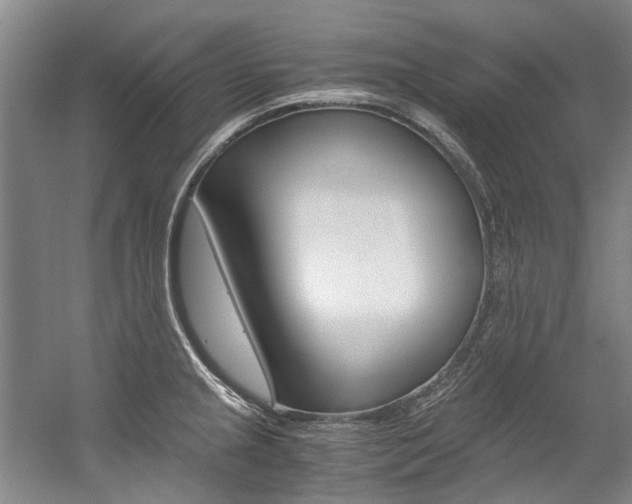 X0000056001237200508190813