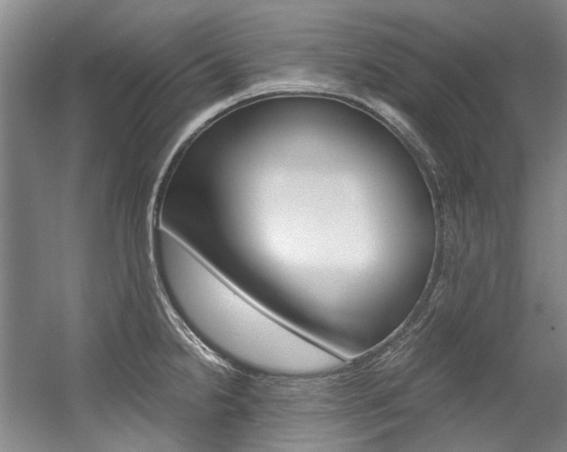 X0000056001238200508190813