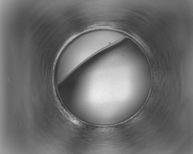X0000056001240200508190813