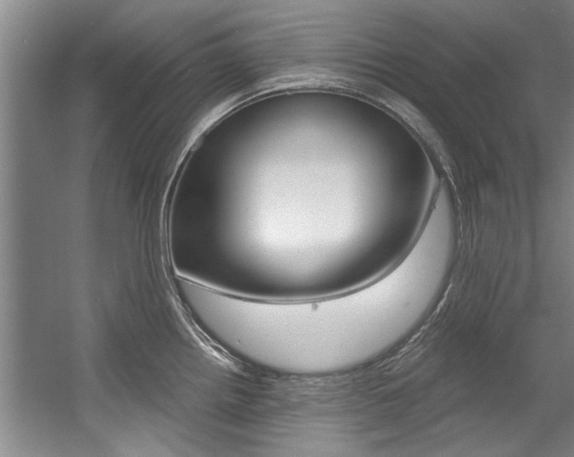 X0000056001242200508190813