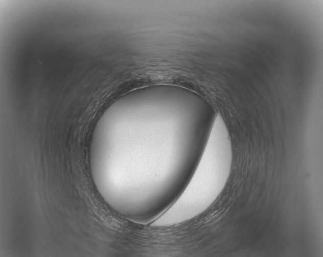 X0000056001249200508190812