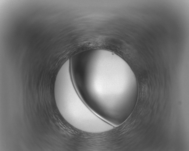 X0000056001250200508190812